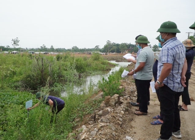 Cưỡng chế thực hiện quyết định kiểm đếm bắt buộc đối với 12 hộ trong chỉ giới thu hồi đất thực hiện dự án Cụm công nghiệp làng nghề Minh Phương