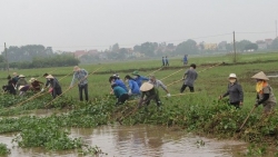 Vĩnh Phúc: Ra quân tình nguyện khơi thông dòng chảy kênh mương nội đồng xã Phú Xuân