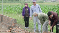 Vĩnh Phúc: Xử lý dứt điểm 295 trường hợp vi phạm, tồn tại về đất đai tại huyện Yên Lạc