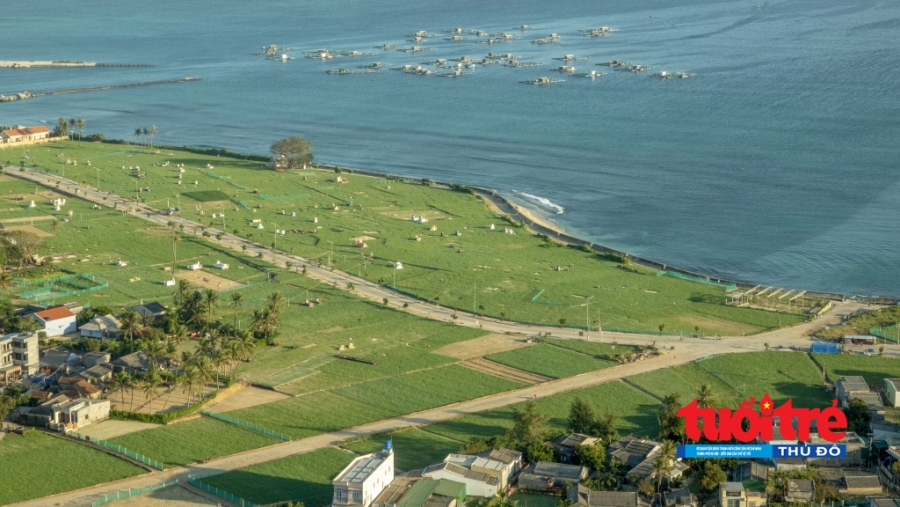Quảng Ngãi: Đảo Lý Sơn sẽ được gắn mã QR ở 28 điểm du lịch