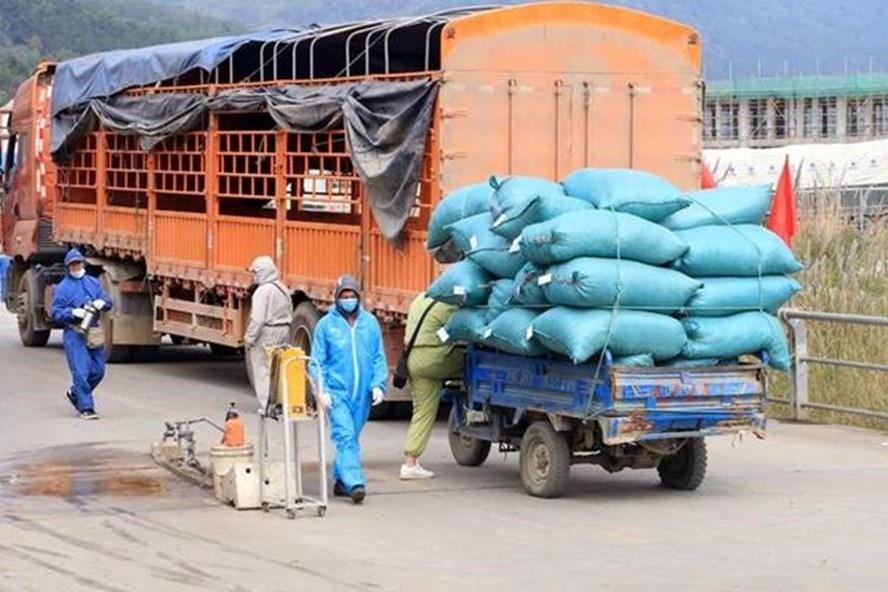 Phòng chống Covid-19 trong vận chuyển hàng hóa dịp Tết Nguyên đán