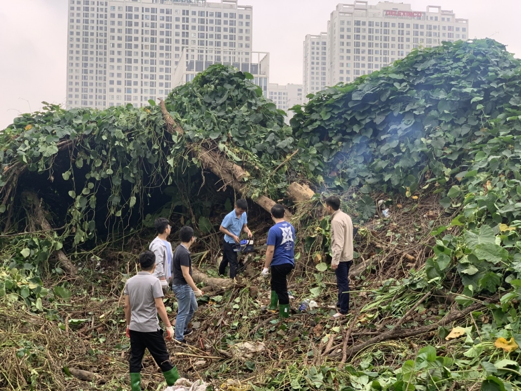 Đoàn thanh niên vận động phát quang cây dại, trồng bổ sung 15 loại cây hoa, cây ăn quả trong và ngoài khuôn viên Viện