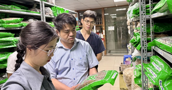 Bộ Y tế lập 15 tổ kiểm tra về dược, mỹ phẩm, y dược cổ truyền, sữa, thực phẩm, thiết bị y tế