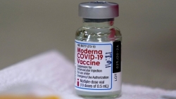 Bộ Y tế phê duyệt có điều kiện vắc xin Covid-19 Moderna