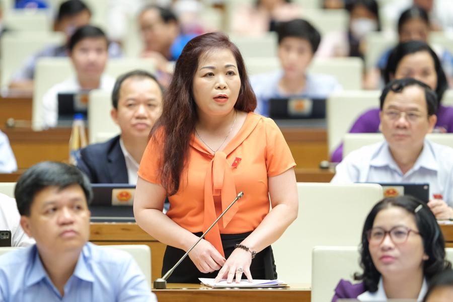Đại biểu Vũ Thị Lưu Mai (Đoàn ĐB Quốc hội TP Hà Nội) phát biểu tại Kỳ họp. Ảnh: Quochoi.vn