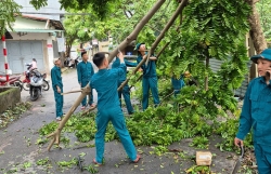 Dọn dẹp cây gãy đổ, chủ động ứng phó với cơn bão số 3