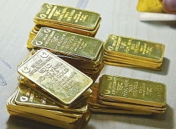 Giá vàng hôm nay 23/11: Vàng tiếp tục tăng giá nhẹ