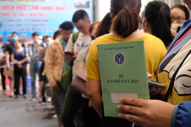 Ninh Bình: Hàng nghìn lao động được hướng dẫn làm hồ sơ hưởng trợ cấp thất nghiệp