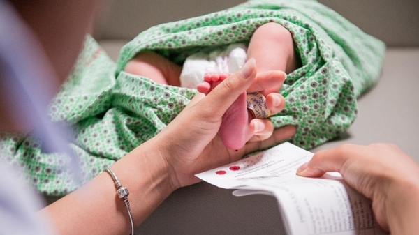 Lấy mẫu máu gót chân trẻ sơ sinh để sàng lọc sơ sinh tại Bệnh viện Phụ sản Hà Nội