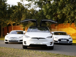Sau nâng cấp, hệ thống tự lái của Tesla vẫn bị lỗi: Gặp biển báo dừng mà xe vẫn chạy