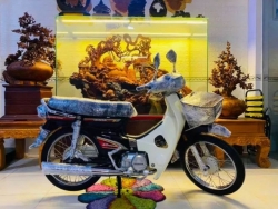 Đam mê sưu tầm, đại gia Cần Thơ chi gần 2 tỷ đồng để tậu Honda Dream II Thái Lan đời 2002