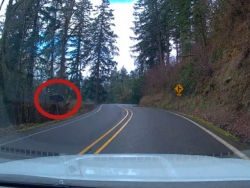 [VIDEO] Xe Honda CR-V lao xuống vực 60m, tài xế may mắn thoát nạn