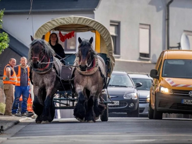 Người dân Đức bỏ xe ô tô, chuyển sang sử dụng…xe ngựa vì giá xăng tăng cao