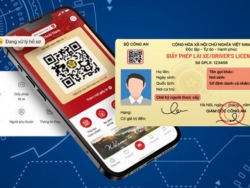 TP HCM thí điểm sang tên xe cũ qua VNeID, không cần công chứng