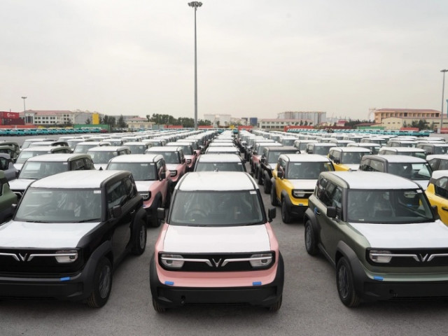 VinFast dẫn đầu lượng ô tô nhập khẩu vào Indonesia trong tháng 8