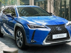 Crossover hạng sang chạy điện Lexus UX 300e sẽ tiếp tục cập bến Đông Nam Á