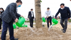 Phó Bí thư Thành ủy Nguyễn Văn Phong dự lễ phát động Tết trồng cây tại huyện Sóc Sơn