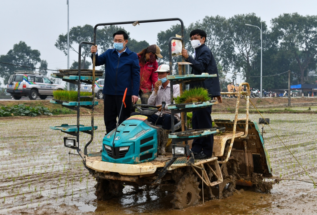 Bí thư Thành ủy Vương Đình Huệ xuống đồng cùng bà con nông dân xã Dị Nậu. 