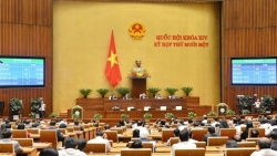 Miễn nhiệm Phó Thủ tướng Chính phủ Trịnh Đình Dũng và 12 thành viên Chính phủ