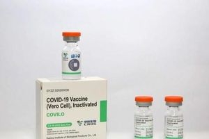 500.000 liều vắc xin Sinopharm (vắc xin Vero Cell ) do Trung Quốc gửi tặng Việt Nam sẽ được phân bổ cho 9 tỉnh