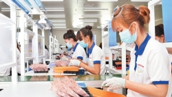 Sách Trắng năm 2021 - bức tranh toàn cảnh doanh nghiệp Hà Nội