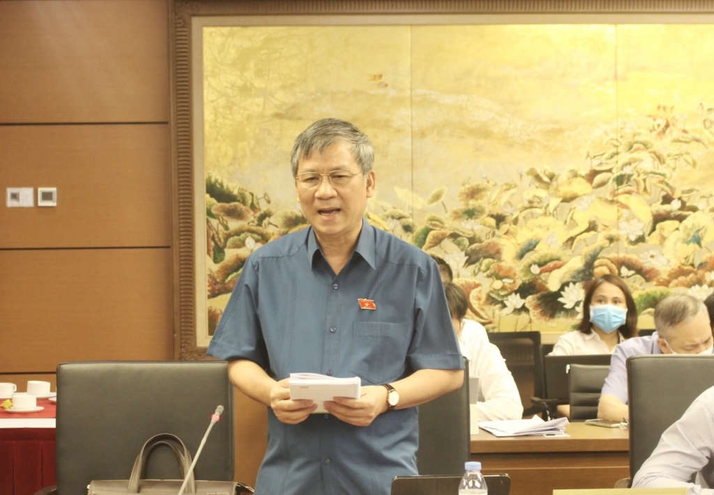 Đại biểu Nguyễn Anh Trí thảo luận tại tổ