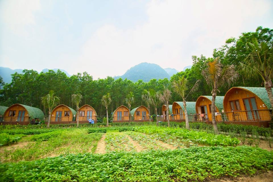 Bộ Tài nguyên và Môi trường yêu cầu kiểm tra mô hình du lịch farmstay