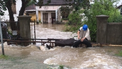 Hà Nội hỗ trợ 2 tỷ đồng giúp các tỉnh Bình Định, Phú Yên khắc phục thiệt hại mưa lũ