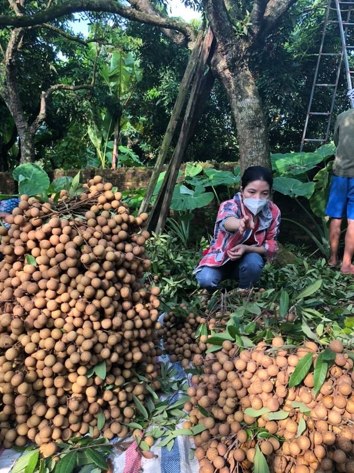 Hội Phụ nữ Công an tỉnh Thái Bình với nhiều hoạt động ý nghĩa