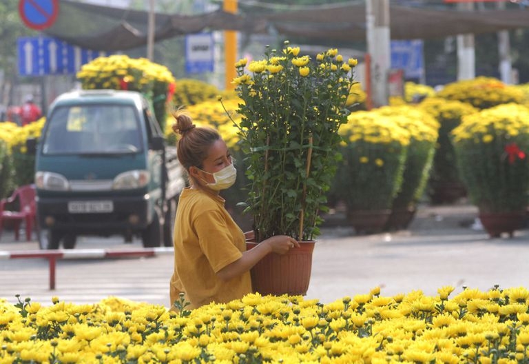Ảnh minh họa Ảnh minh họa