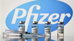 Đồng ý mua 21,9 triệu liều vaccine Pfizer cho trẻ 5-12 tuổi