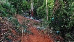 Gia Lai: Xe tải chở sắn lao xuống vực, 9 người thương vong