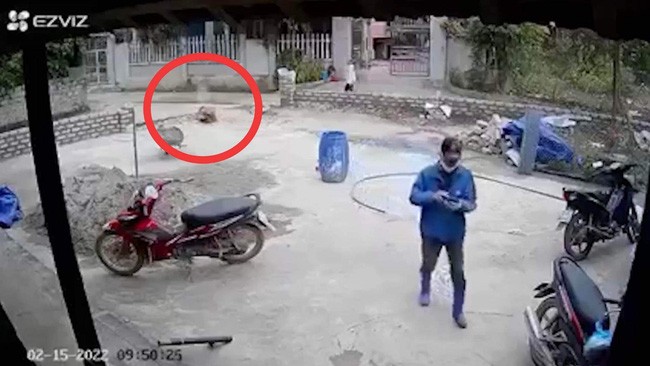 [Video] Tình tiết mới trong thảm án xả súng kinh hoàng ở Thái Nguyên | Pháp luật | Vietnam+ (VietnamPlus)