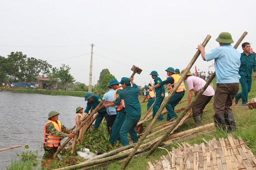 Ảnh minh họa