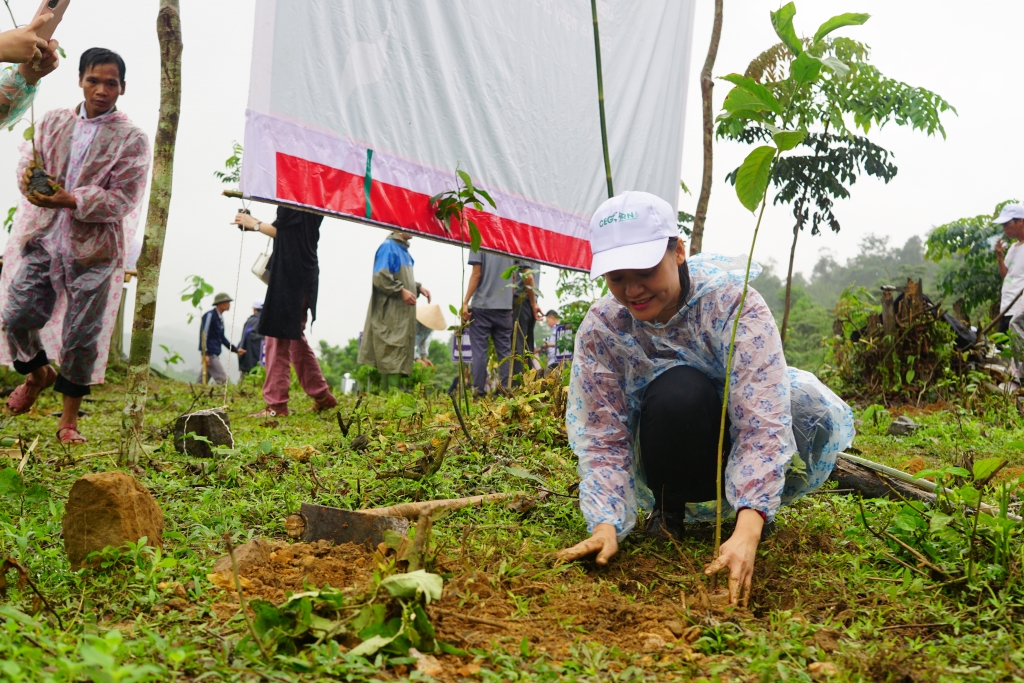 Diễn viên Hồng Ánh hưởng ứng trồng rừng