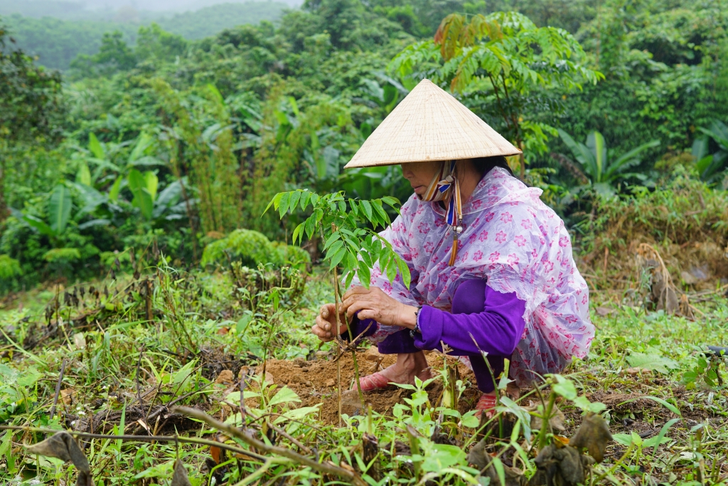 VARS khởi động Dự án Cùng phục hồi rừng đầu nguồn sông Gianh