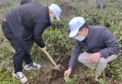 Toyota Việt Nam đồng hành cùng Chương trình “Một tỷ cây xanh – Vì Việt Nam xanh”