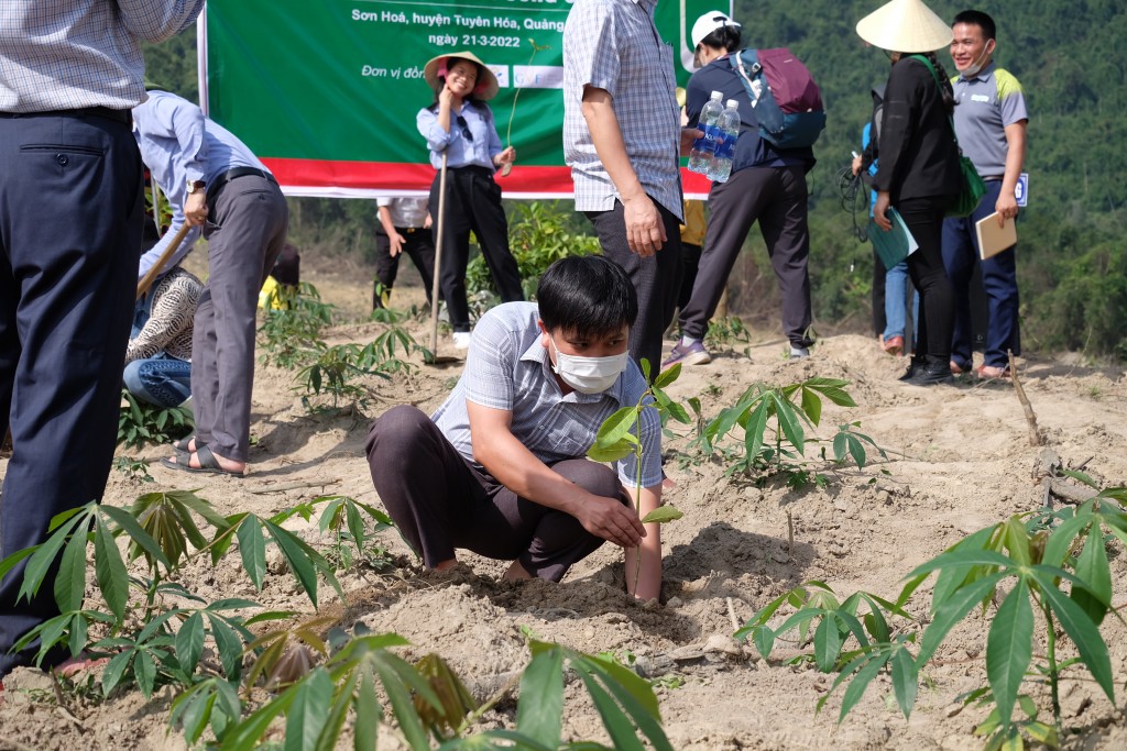 Khởi động năm thứ hai Dự án Trồng và phục hồi rừng đầu nguồn sông Gianh