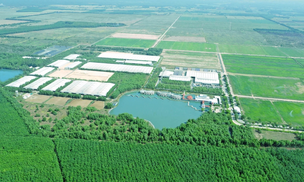 Hệ thống trang trại sinh thái Green Farm mới của Vinamilk có quy mô đàn bò hàng chục ngàn con trên diện tích rộng hàng ngàn hecta