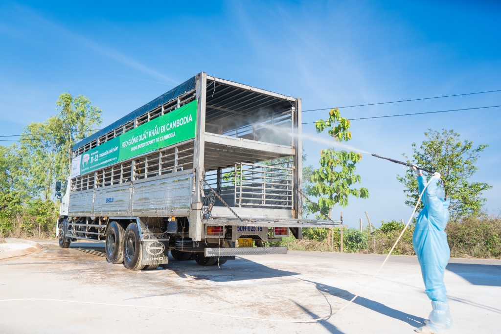 Xe vận chuyển được vệ sinh, khử trùng kỹ lưỡng nhằm đảm bảo an toàn sinh học  trước khi đưa heo giống rời trại.