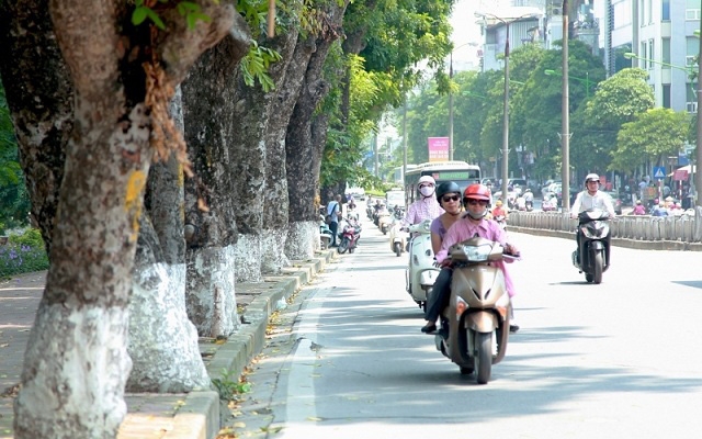 Ảnh minh họa