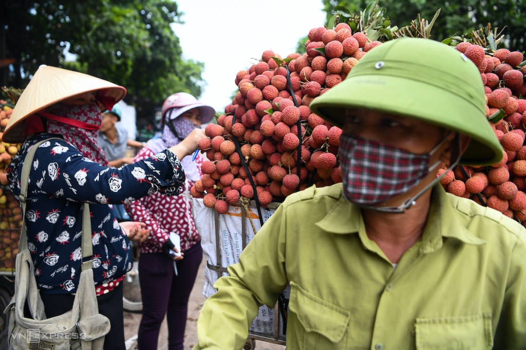 Phó Thủ tướng Chính phủ Lê Văn Thành vừa có ý kiến giao các Bộ liên quan và UBND các tỉnh phối hợp hỗ trợ, tháo gỡ tiêu thụ nông sản cho Bắc Giang