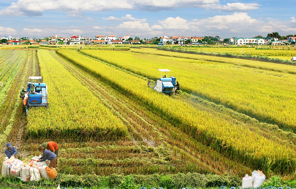 Chuyển nông nghiệp sản lượng cao sang nông nghiệp công nghệ cao, sinh thái