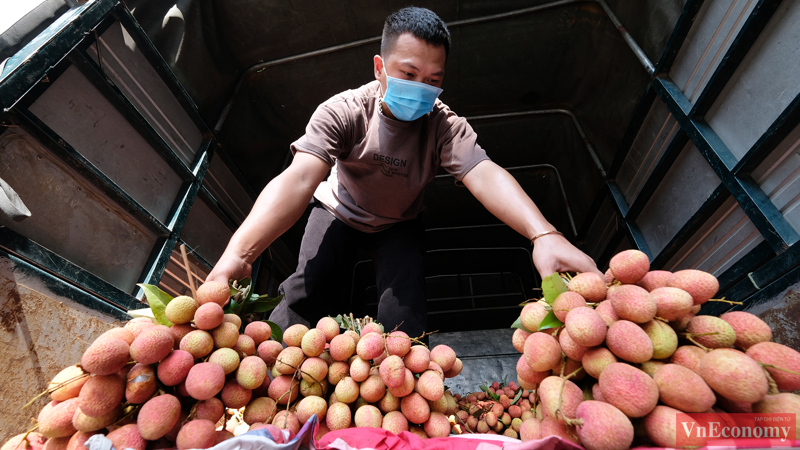 Ưu tiên lưu thông nhanh chóng xe chở vải thiều từ Bắc Giang