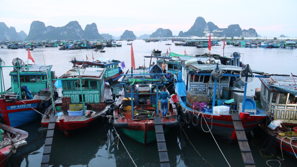 Hình ảnh do các nhà báo, phóng viên tham gia khóa tập huấn đi tác nghiệp thực tế tại thành phố Cẩm Phả, tỉnh Quảng Ninh