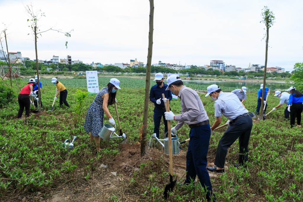 Hoạt động trồng cây hưởng ứng tháng hành động vì môi trường
