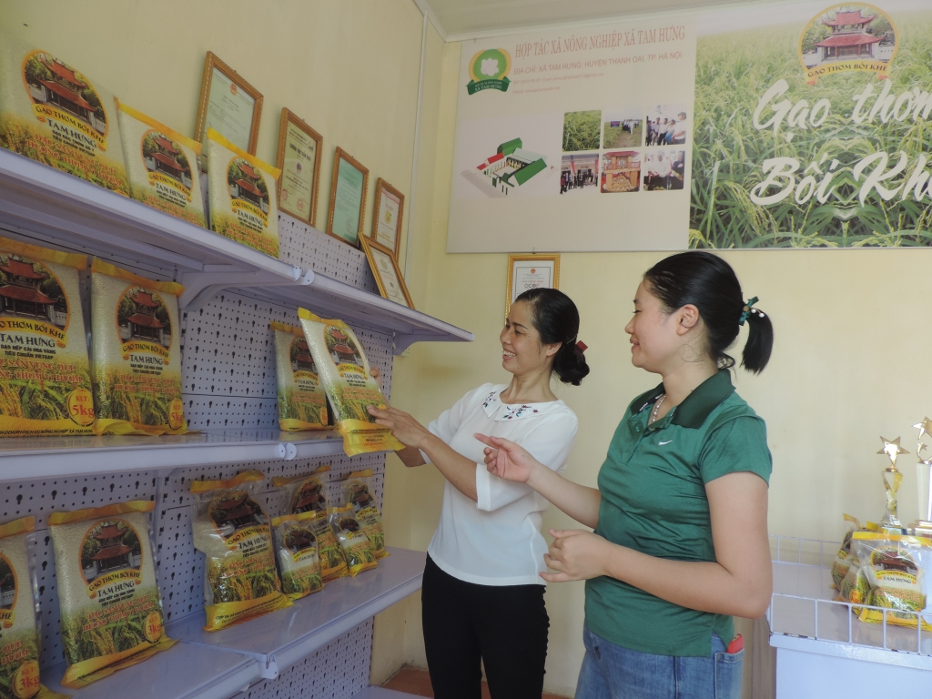 Khách hàng tham quan sản phẩm của Hợp tác xã Nông nghiệp Tam Hưng tại cửa hàng trưng bày