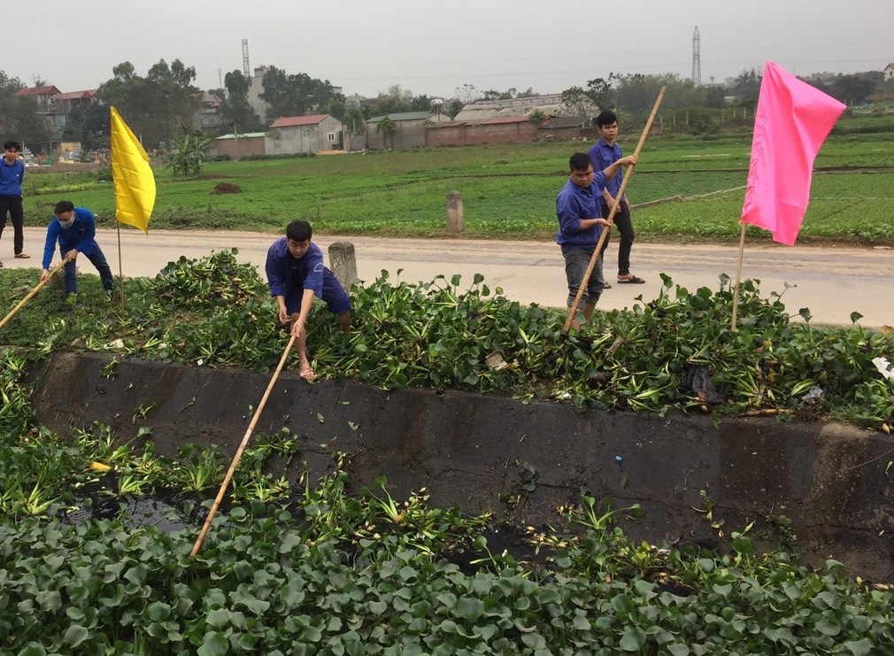 Người lao động vớt bèo khơi thông dòng chảy