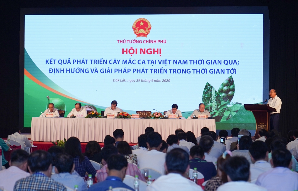 Thủ tướng giao Bộ NN&PTNT cùng Hiệp hội Mắc ca và các địa phương xây dựng một chiến lược phát triển cây mắc ca ở Việt Nam