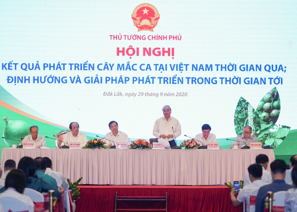 Thủ tướng cho rằng, Cây mắc ca chứa đựng nhiều giá trị xã hội đặc biệt, không chỉ đơn thuần là hiệu quả kinh tế